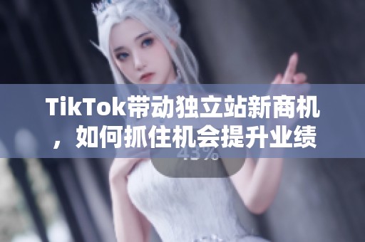 TikTok带动独立站新商机，如何抓住机会提升业绩