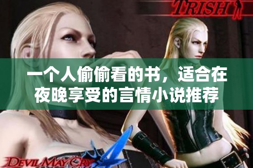 一个人偷偷看的书，适合在夜晚享受的言情小说推荐